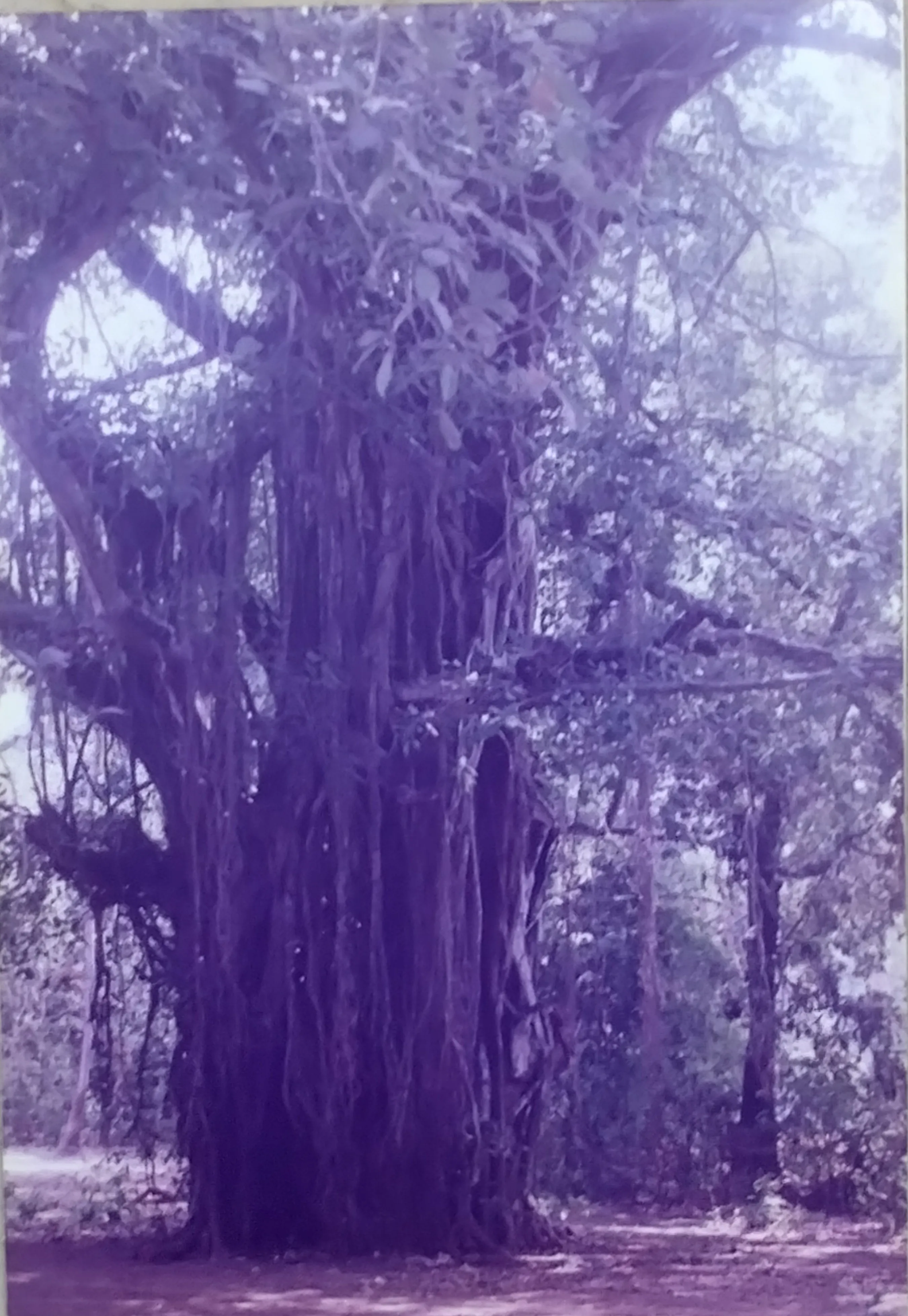 barajanancha sthal
