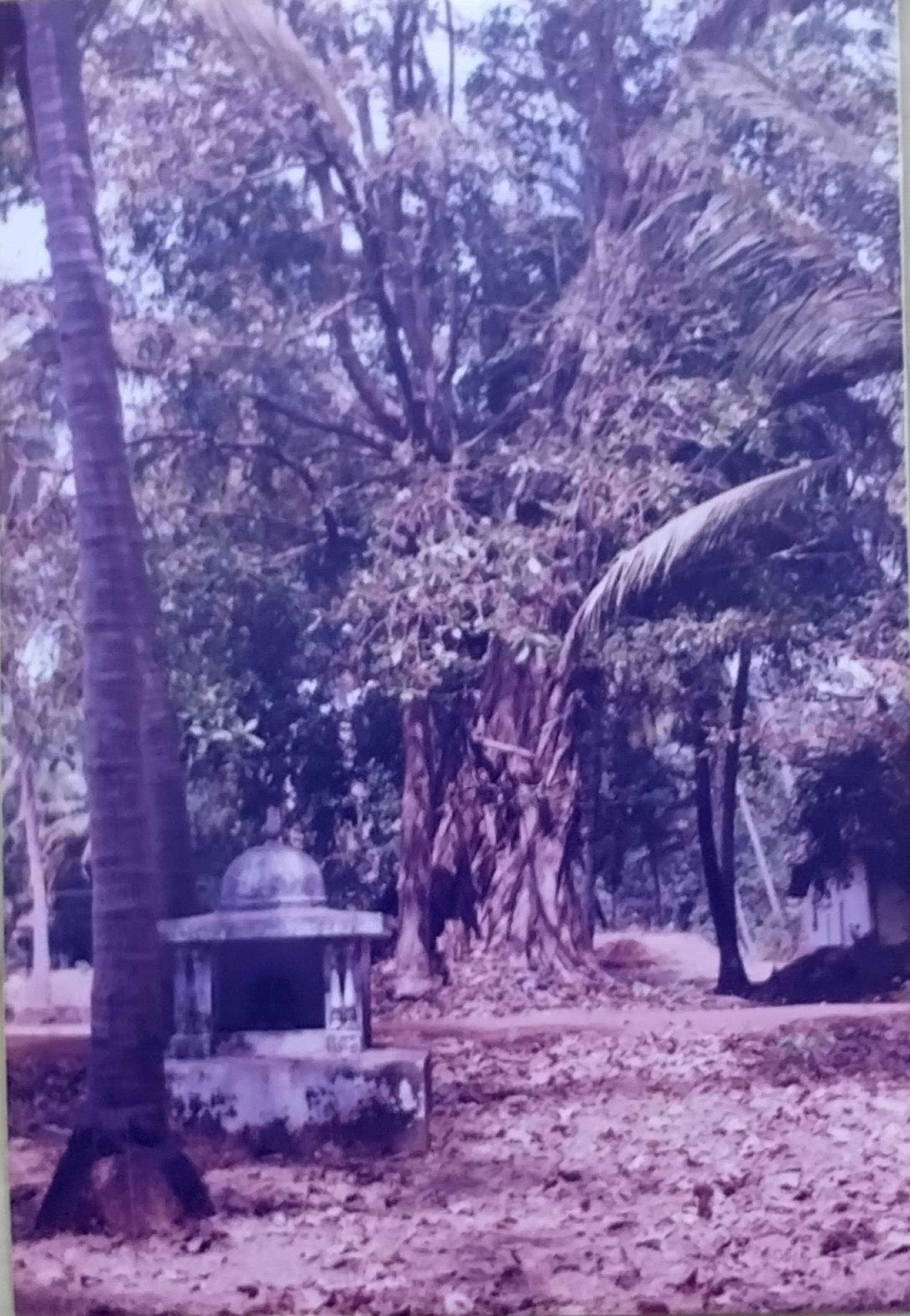 ranche-purav