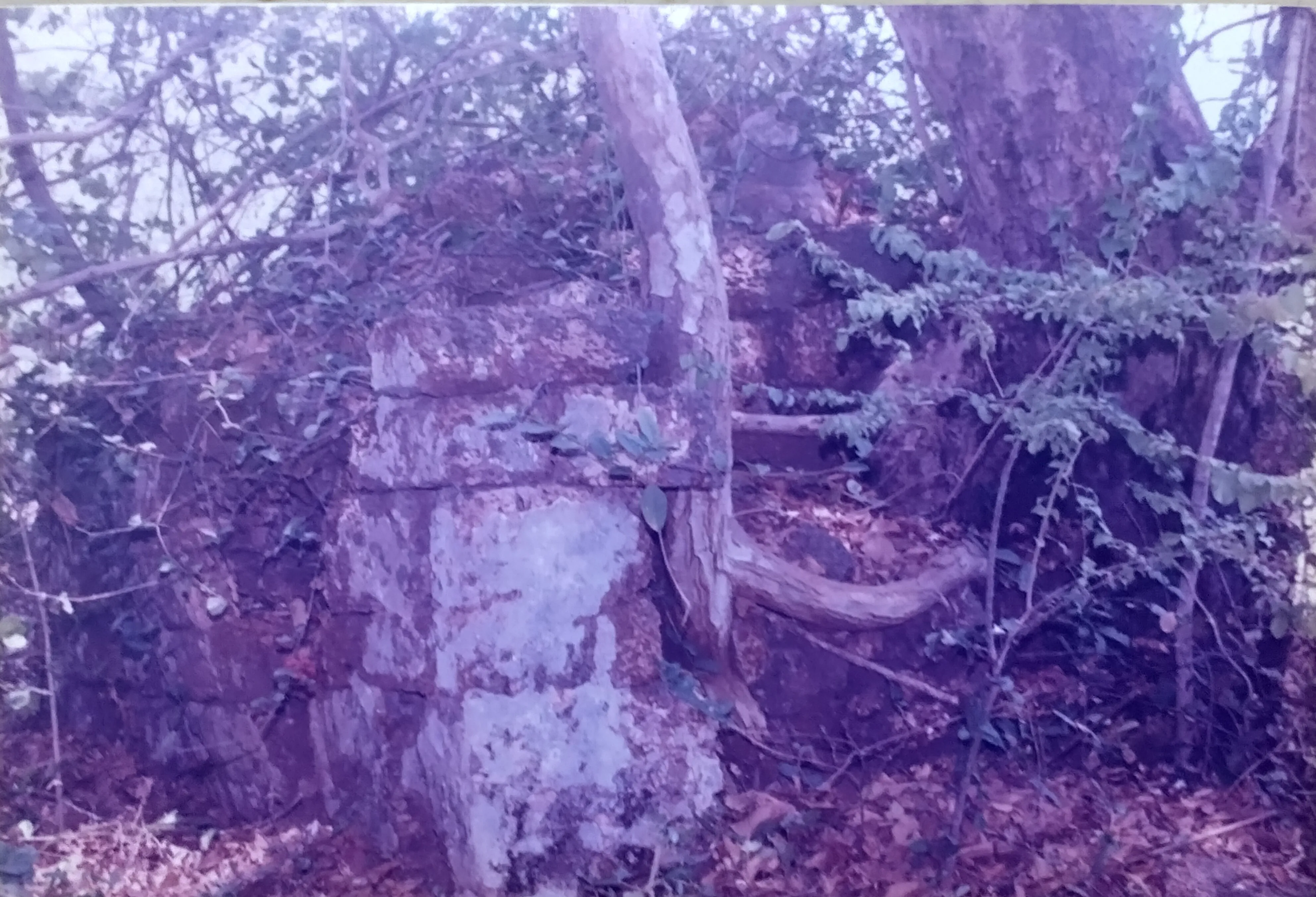 shasth sathi temple1