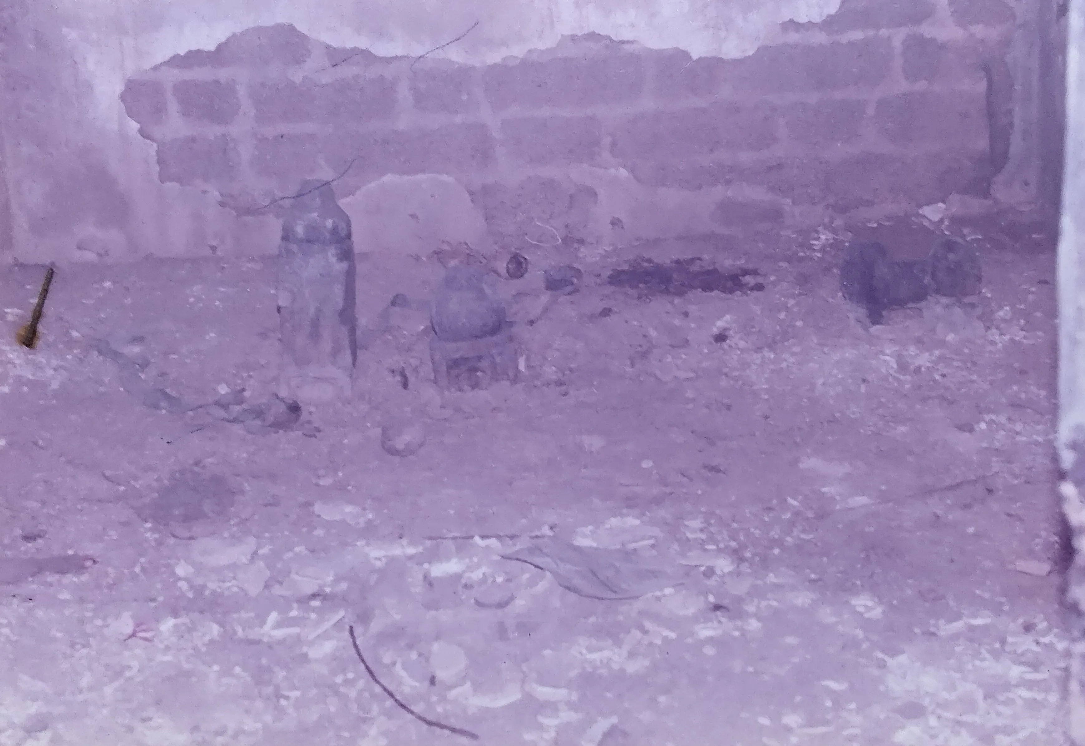 inside veer temple